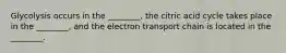 Glycolysis occurs in the ________, the citric acid cycle takes place in the ________, and the electron transport chain is located in the ________.