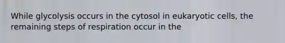 While glycolysis occurs in the cytosol in eukaryotic cells, the remaining steps of respiration occur in the