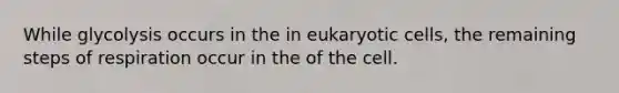 While glycolysis occurs in the in eukaryotic cells, the remaining steps of respiration occur in the of the cell.