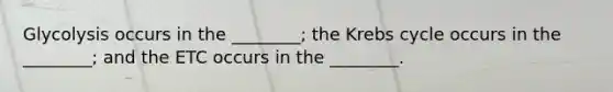 Glycolysis occurs in the ________; the <a href='https://www.questionai.com/knowledge/kqfW58SNl2-krebs-cycle' class='anchor-knowledge'>krebs cycle</a> occurs in the ________; and the ETC occurs in the ________.