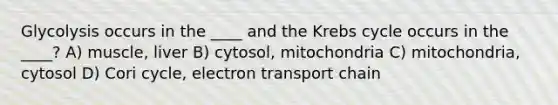 Glycolysis occurs in the ____ and the <a href='https://www.questionai.com/knowledge/kqfW58SNl2-krebs-cycle' class='anchor-knowledge'>krebs cycle</a> occurs in the ____? A) muscle, liver B) cytosol, mitochondria C) mitochondria, cytosol D) Cori cycle, electron transport chain