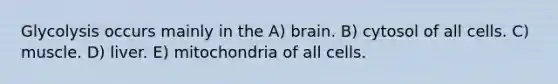 Glycolysis occurs mainly in the A) brain. B) cytosol of all cells. C) muscle. D) liver. E) mitochondria of all cells.
