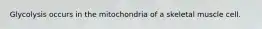 Glycolysis occurs in the mitochondria of a skeletal muscle cell.