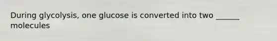 During glycolysis, one glucose is converted into two ______ molecules