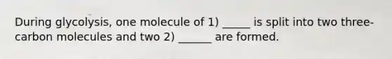 During glycolysis, one molecule of 1) _____ is split into two three-carbon molecules and two 2) ______ are formed.