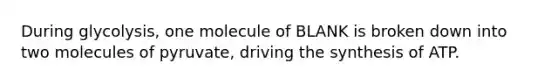 During glycolysis, one molecule of BLANK is broken down into two molecules of pyruvate, driving the synthesis of ATP.