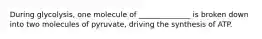 During glycolysis, one molecule of ______________ is broken down into two molecules of pyruvate, driving the synthesis of ATP.