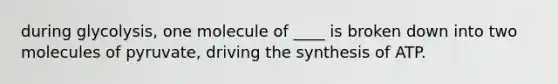 during glycolysis, one molecule of ____ is broken down into two molecules of pyruvate, driving the synthesis of ATP.