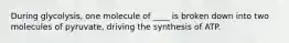 During glycolysis, one molecule of ____ is broken down into two molecules of pyruvate, driving the synthesis of ATP.