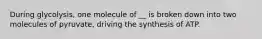 During glycolysis, one molecule of __ is broken down into two molecules of pyruvate, driving the synthesis of ATP.