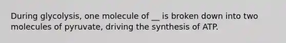 During glycolysis, one molecule of __ is broken down into two molecules of pyruvate, driving the synthesis of ATP.