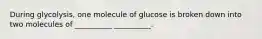 During glycolysis, one molecule of glucose is broken down into two molecules of __________ __________.