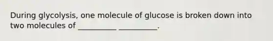 During glycolysis, one molecule of glucose is broken down into two molecules of __________ __________.