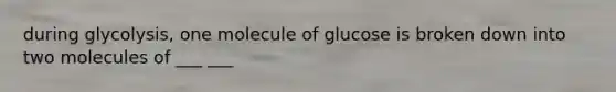 during glycolysis, one molecule of glucose is broken down into two molecules of ___ ___