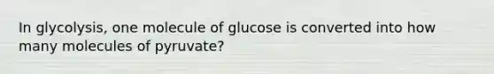 In glycolysis, one molecule of glucose is converted into how many molecules of pyruvate?