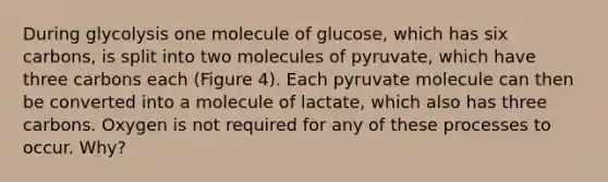 During glycolysis one molecule of glucose, which has six carbons, is split into two molecules of pyruvate, which have three carbons each (Figure 4). Each pyruvate molecule can then be converted into a molecule of lactate, which also has three carbons. Oxygen is not required for any of these processes to occur. Why?