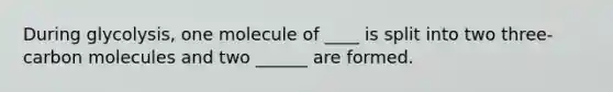 During glycolysis, one molecule of ____ is split into two three- carbon molecules and two ______ are formed.