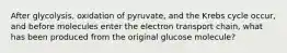 After glycolysis, oxidation of pyruvate, and the Krebs cycle occur, and before molecules enter the electron transport chain, what has been produced from the original glucose molecule?