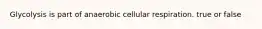 Glycolysis is part of anaerobic cellular respiration. true or false