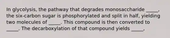 In glycolysis, the pathway that degrades monosaccharide _____, the six-carbon sugar is phosphorylated and split in half, yielding two molecules of _____. This compound is then converted to _____. The decarboxylation of that compound yields _____,