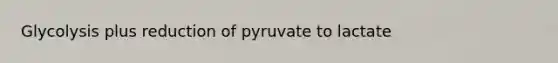 Glycolysis plus reduction of pyruvate to lactate