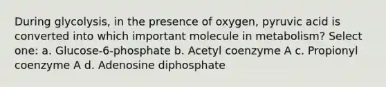 During glycolysis, in the presence of oxygen, pyruvic acid is converted into which important molecule in metabolism? Select one: a. Glucose-6-phosphate b. Acetyl coenzyme A c. Propionyl coenzyme A d. Adenosine diphosphate