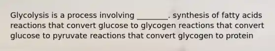 Glycolysis is a process involving ________. synthesis of fatty acids reactions that convert glucose to glycogen reactions that convert glucose to pyruvate reactions that convert glycogen to protein