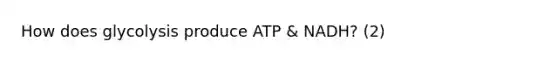 How does glycolysis produce ATP & NADH? (2)