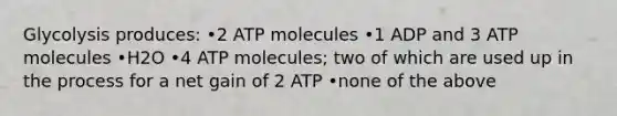 Glycolysis produces: •2 ATP molecules •1 ADP and 3 ATP molecules •H2O •4 ATP molecules; two of which are used up in the process for a net gain of 2 ATP •none of the above