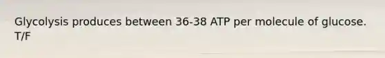 Glycolysis produces between 36-38 ATP per molecule of glucose. T/F