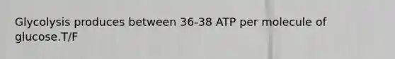 Glycolysis produces between 36-38 ATP per molecule of glucose.T/F