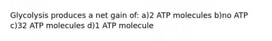 Glycolysis produces a net gain of: a)2 ATP molecules b)no ATP c)32 ATP molecules d)1 ATP molecule