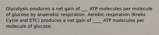 Glycolysis produces a net gain of ___ ATP molecules per molecule of glucose by anaerobic respiration. Aerobic respiration (Krebs Cycle and ETC) produces a net gain of ____ ATP molecules per molecule of glucose.