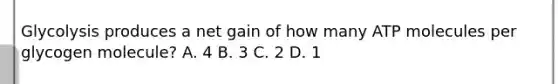 Glycolysis produces a net gain of how many ATP molecules per glycogen molecule? A. 4 B. 3 C. 2 D. 1