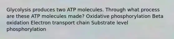 Glycolysis produces two ATP molecules. Through what process are these ATP molecules made? Oxidative phosphorylation Beta oxidation Electron transport chain Substrate level phosphorylation