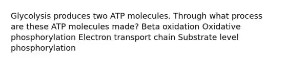 Glycolysis produces two ATP molecules. Through what process are these ATP molecules made? Beta oxidation Oxidative phosphorylation Electron transport chain Substrate level phosphorylation