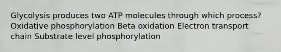 Glycolysis produces two ATP molecules through which process? Oxidative phosphorylation Beta oxidation Electron transport chain Substrate level phosphorylation