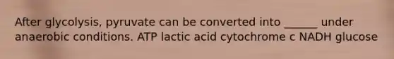 After glycolysis, pyruvate can be converted into ______ under anaerobic conditions. ATP lactic acid cytochrome c NADH glucose