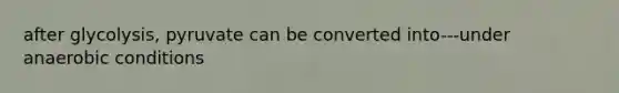 after glycolysis, pyruvate can be converted into---under anaerobic conditions