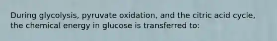 During glycolysis, pyruvate oxidation, and the citric acid cycle, the chemical energy in glucose is transferred to: