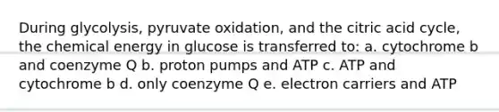 During glycolysis, pyruvate oxidation, and the citric acid cycle, the chemical energy in glucose is transferred to: a. cytochrome b and coenzyme Q b. proton pumps and ATP c. ATP and cytochrome b d. only coenzyme Q e. electron carriers and ATP