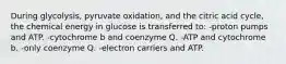 During glycolysis, pyruvate oxidation, and the citric acid cycle, the chemical energy in glucose is transferred to: -proton pumps and ATP. -cytochrome b and coenzyme Q. -ATP and cytochrome b. -only coenzyme Q. -electron carriers and ATP.