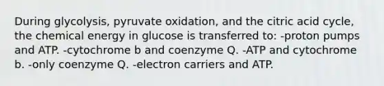 During glycolysis, pyruvate oxidation, and the citric acid cycle, the chemical energy in glucose is transferred to: -proton pumps and ATP. -cytochrome b and coenzyme Q. -ATP and cytochrome b. -only coenzyme Q. -electron carriers and ATP.