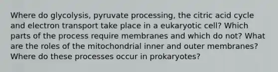 Where do glycolysis, pyruvate processing, the citric acid cycle and electron transport take place in a eukaryotic cell? Which parts of the process require membranes and which do not? What are the roles of the mitochondrial inner and outer membranes? Where do these processes occur in prokaryotes?