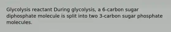 Glycolysis reactant During glycolysis, a 6-carbon sugar diphosphate molecule is split into two 3-carbon sugar phosphate molecules.