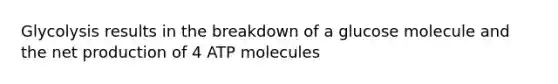 Glycolysis results in the breakdown of a glucose molecule and the net production of 4 ATP molecules