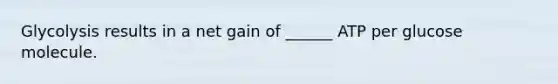 Glycolysis results in a net gain of ______ ATP per glucose molecule.