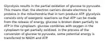 Glycolysis results in the partial oxidation of glucose to pyruvate. This means that: the electron carriers donate electrons to proteins in the mitochondria that in turn produce ATP. glycolysis consists only of exergonic reactions so that ATP can be made from the release of energy. glucose is broken down partially to ATP in the cytoplasm. glucose combines with oxygen in the cytoplasm to get partially oxidized. in the process of the conversion of glucose to pyruvate, some potential energy is transferred to NADH and ATP.