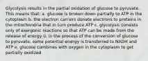 Glycolysis results in the partial oxidation of glucose to pyruvate. This means that: a. glucose is broken down partially to ATP in the cytoplasm b. the electron carriers donate electrons to proteins in the mitochondria that in turn produce ATP c. glycolysis consists only of exergonic reactions so that ATP can be made from the release of energy d. in the process of the conversion of glucose to pyruvate, some potential energy is transferred to NADH and ATP e. glucose combines with oxygen in the cytoplasm to get partially oxidized