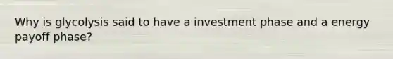 Why is glycolysis said to have a investment phase and a energy payoff phase?